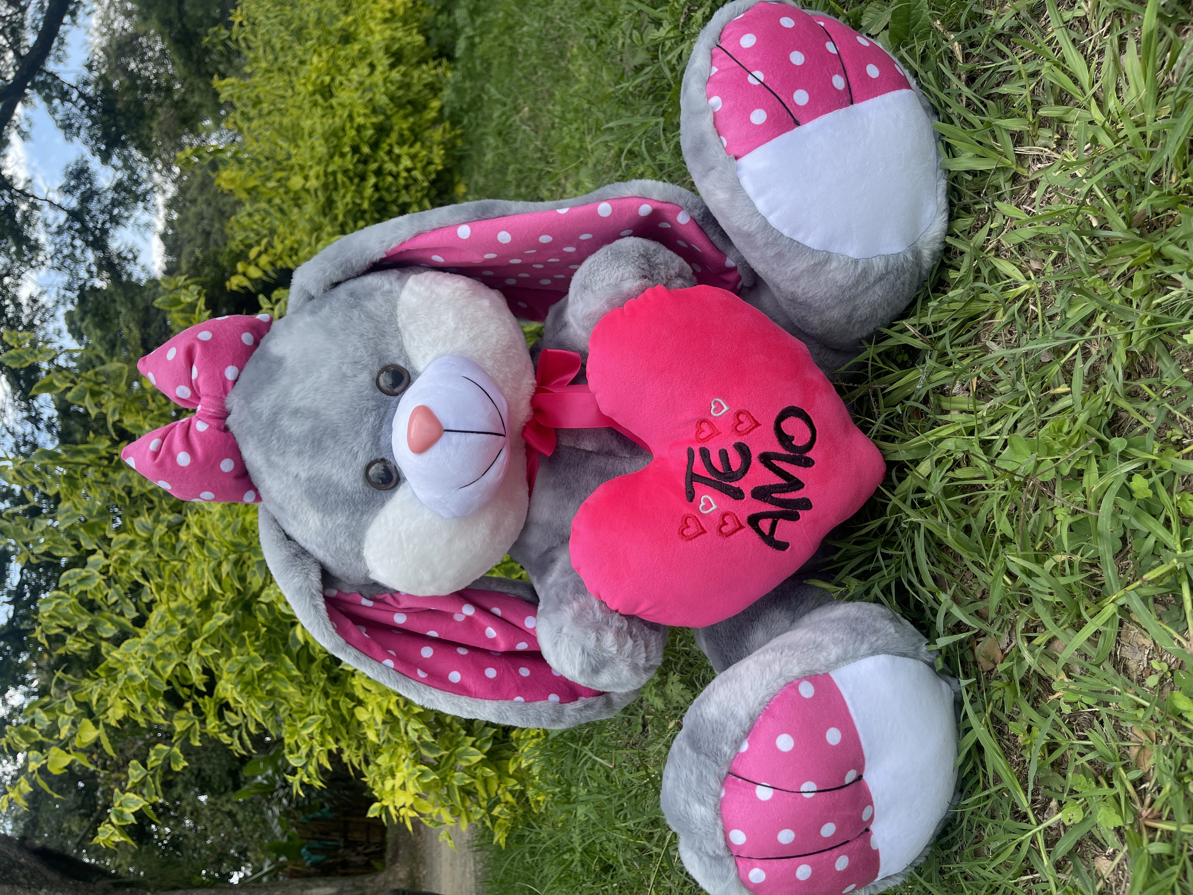 Coneja Corazon - Imagen 1