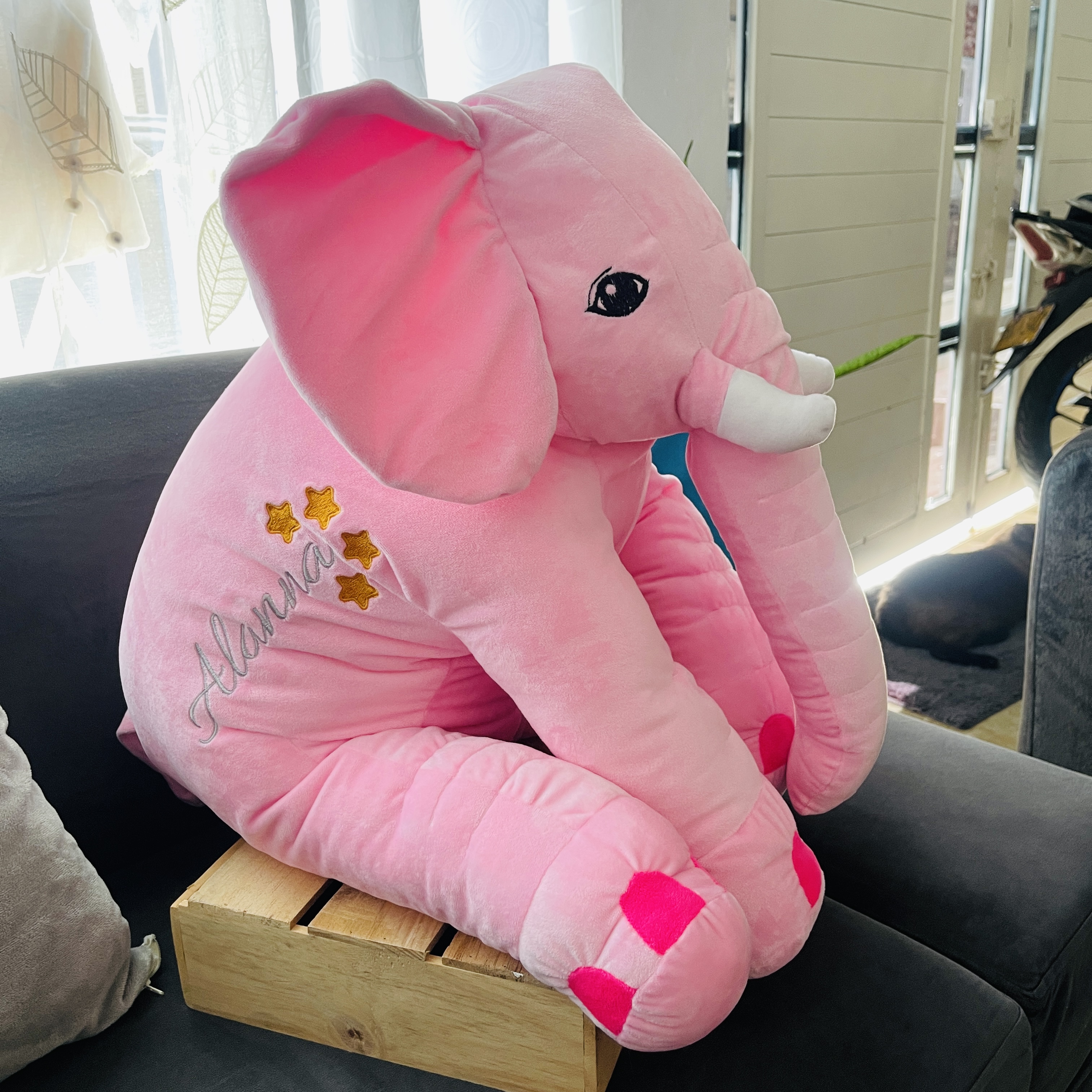 Elefante Grande - Imagen 3