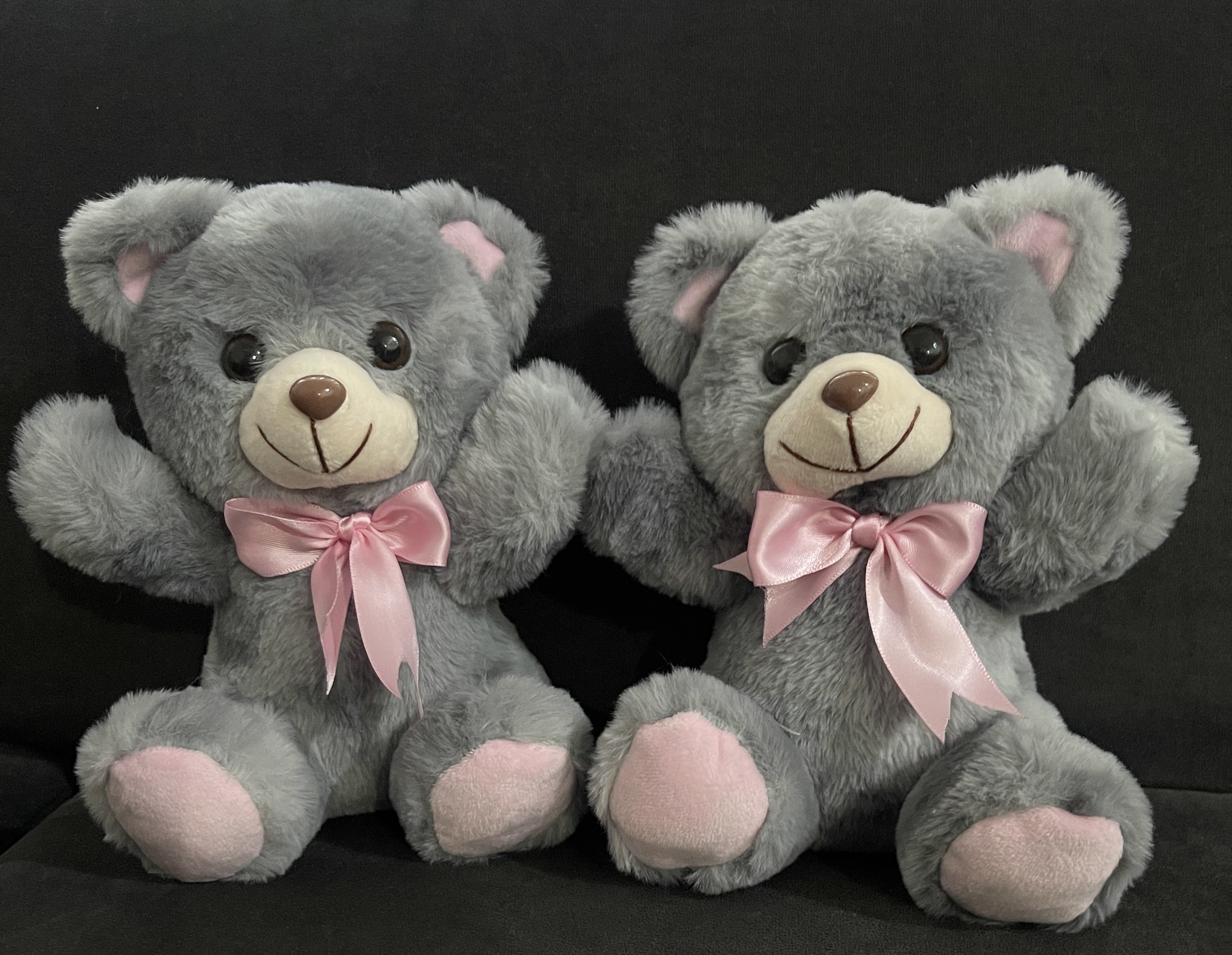 Oso anchetero - Imagen 1