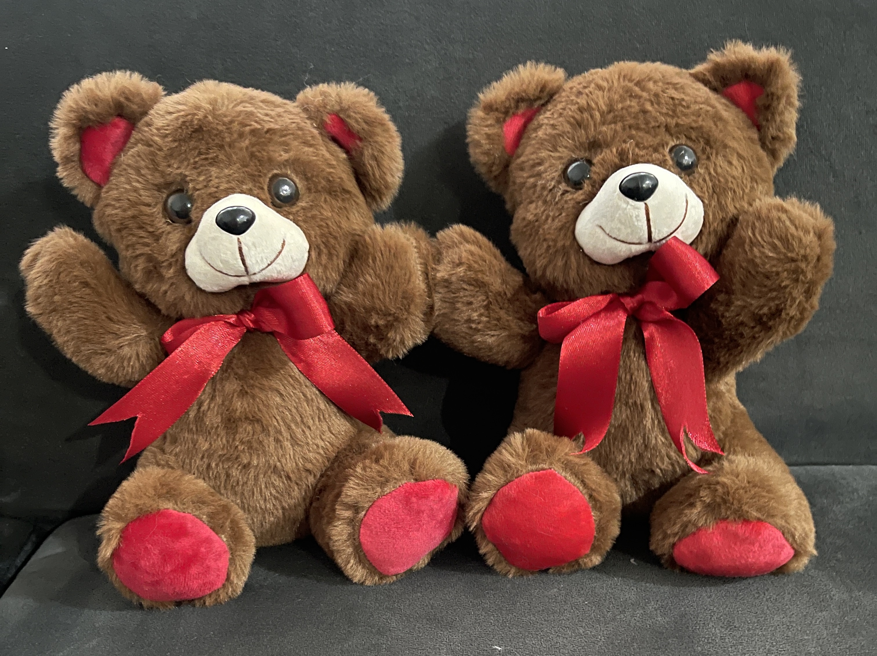 Oso anchetero - Imagen 2