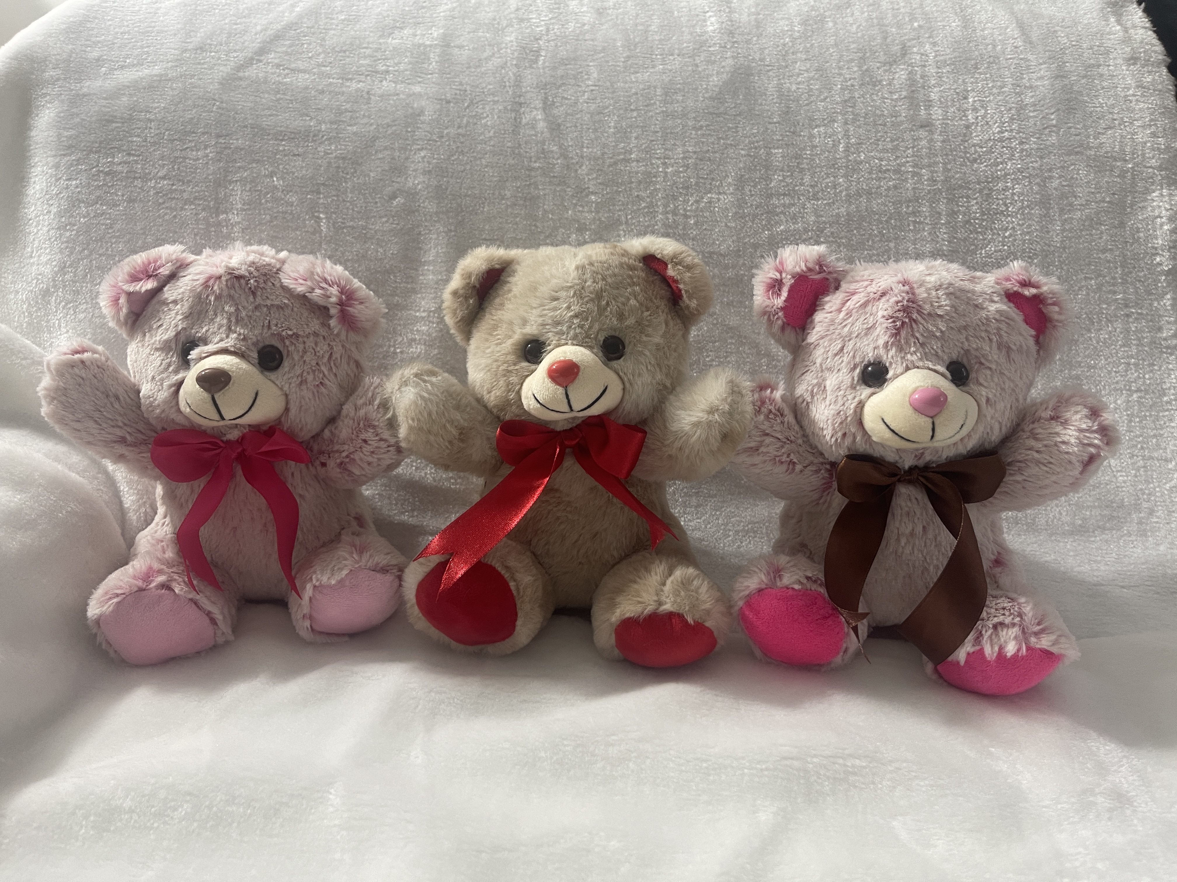 Oso anchetero - Imagen 3